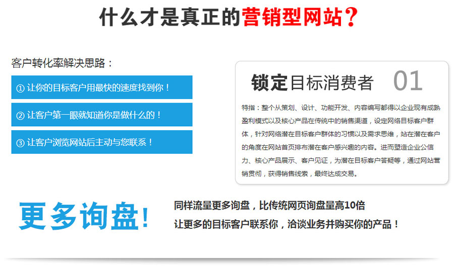 上海营销型网站建设  第1张